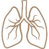 Internal Organ Damage