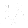Vehicular Manslaughter